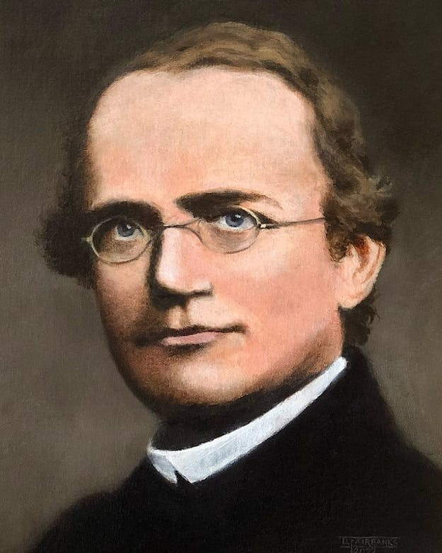 Gregor Mendel. Oil on canvas painting of Gregor Johann Mendel by Daniel J. Fairbanks