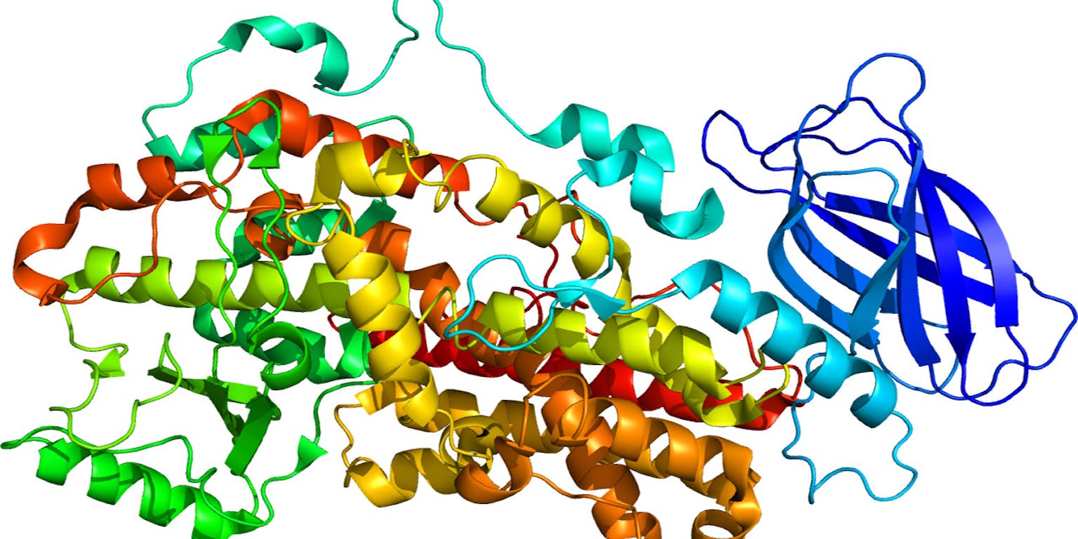 Een kleurrijke 3D-weergave van het eitwit ALOX12.
