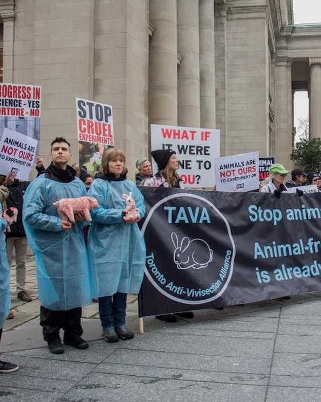 Dierenrechtenorganisaties weten: alhoewel we op dit moment nog niet helemaal zonder dierproeven kunnen, is de ontwikkeling van alternatieven verder gevorderd dan de meeste mensen denken. Groepje mensen op straat in blauwe labjassen die met spandoeken protesteren tegen dierproeven