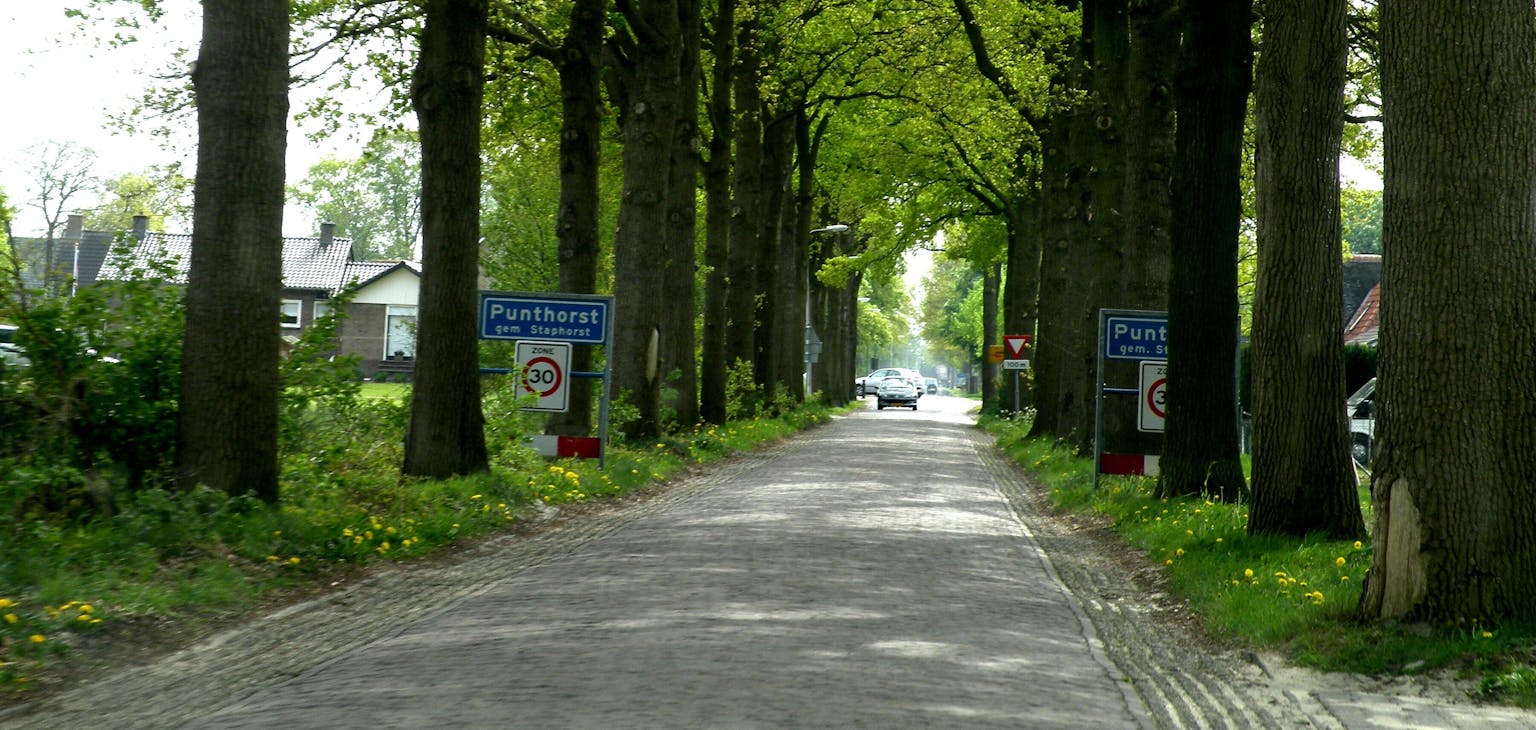 Een weg omzoomd met bomen en een bord.