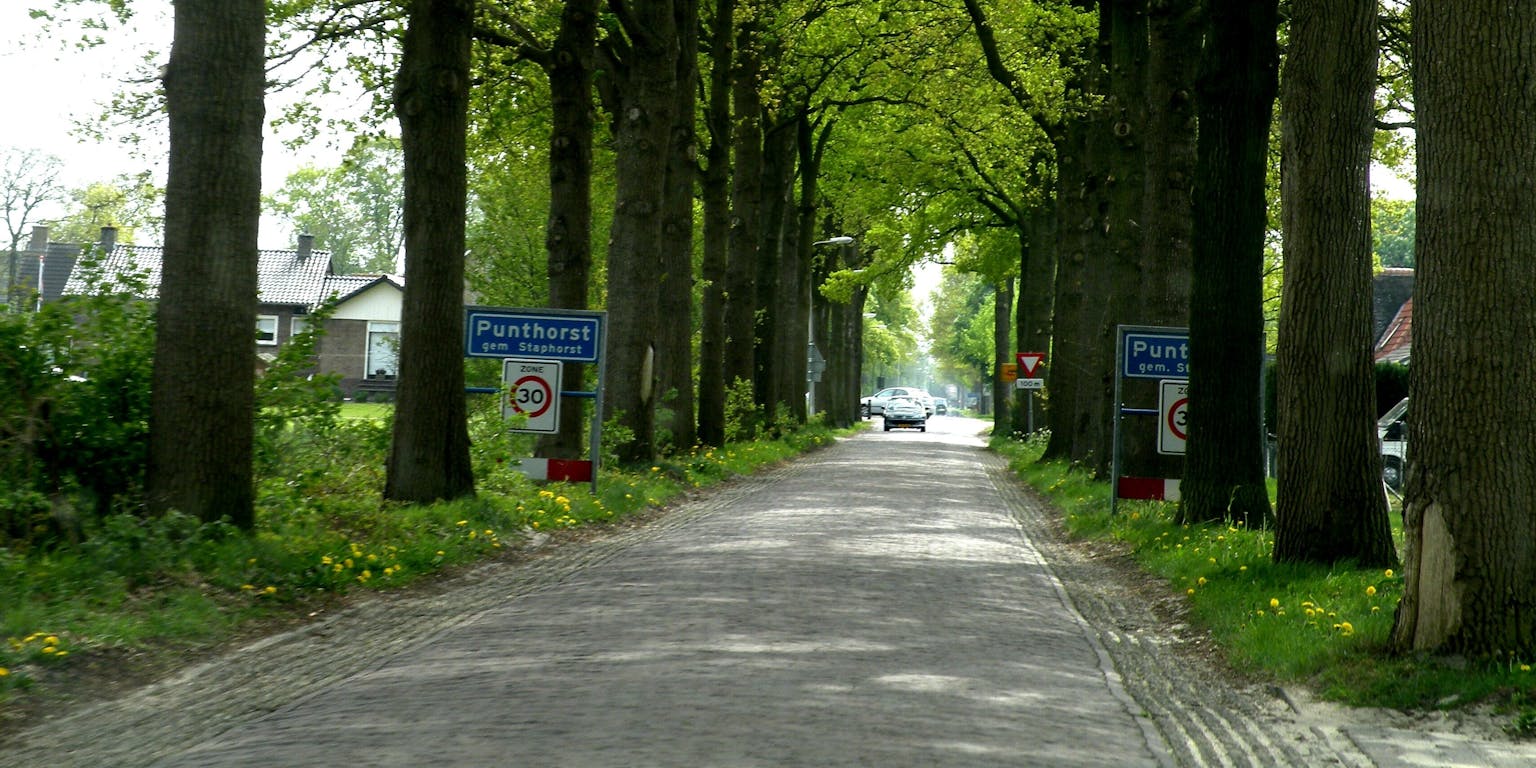 Een weg omzoomd met bomen en een bord.