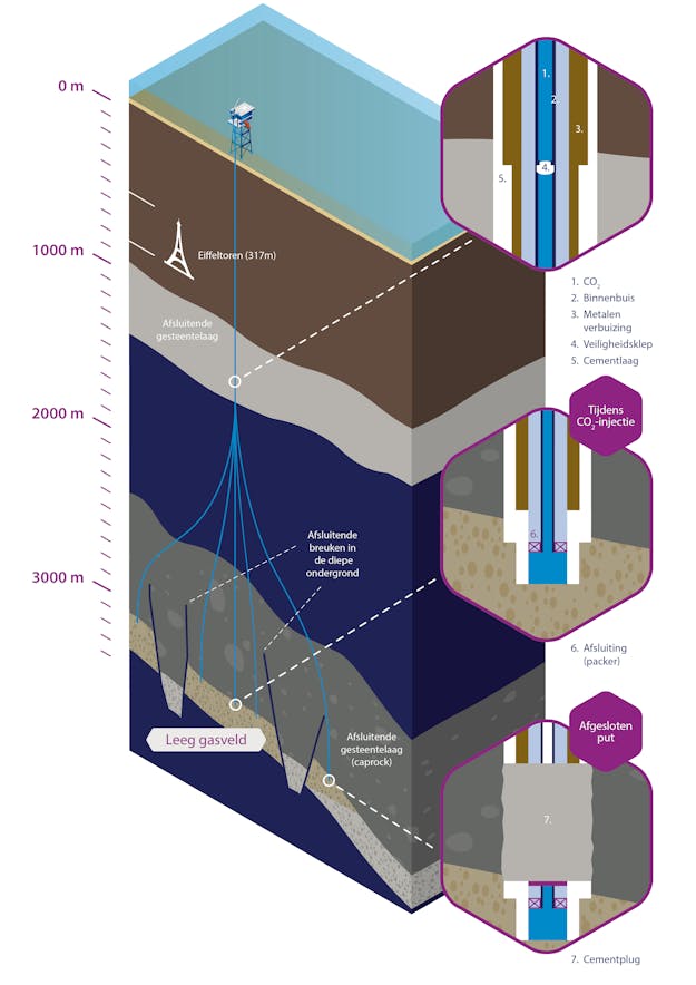 Doorsnede van de zeebodem. Getekende doorsnede van de zeebodem, waar met blauwe lijnen de CO2-leidingen doorheen lopen naar het lege gasveld onderin.