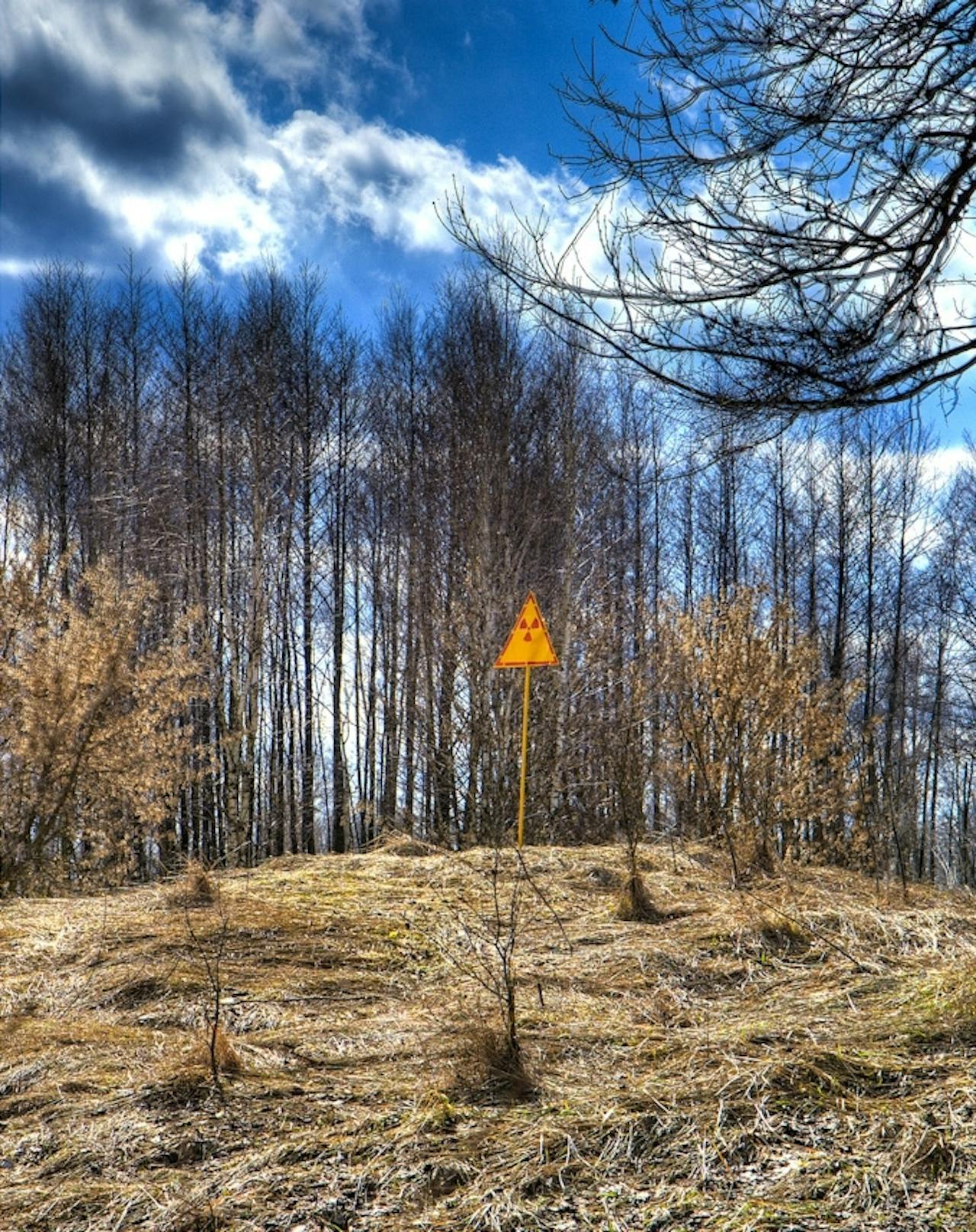 Een geel waarschuwingsbord midden in een veld met het radioactiviteit symbool.