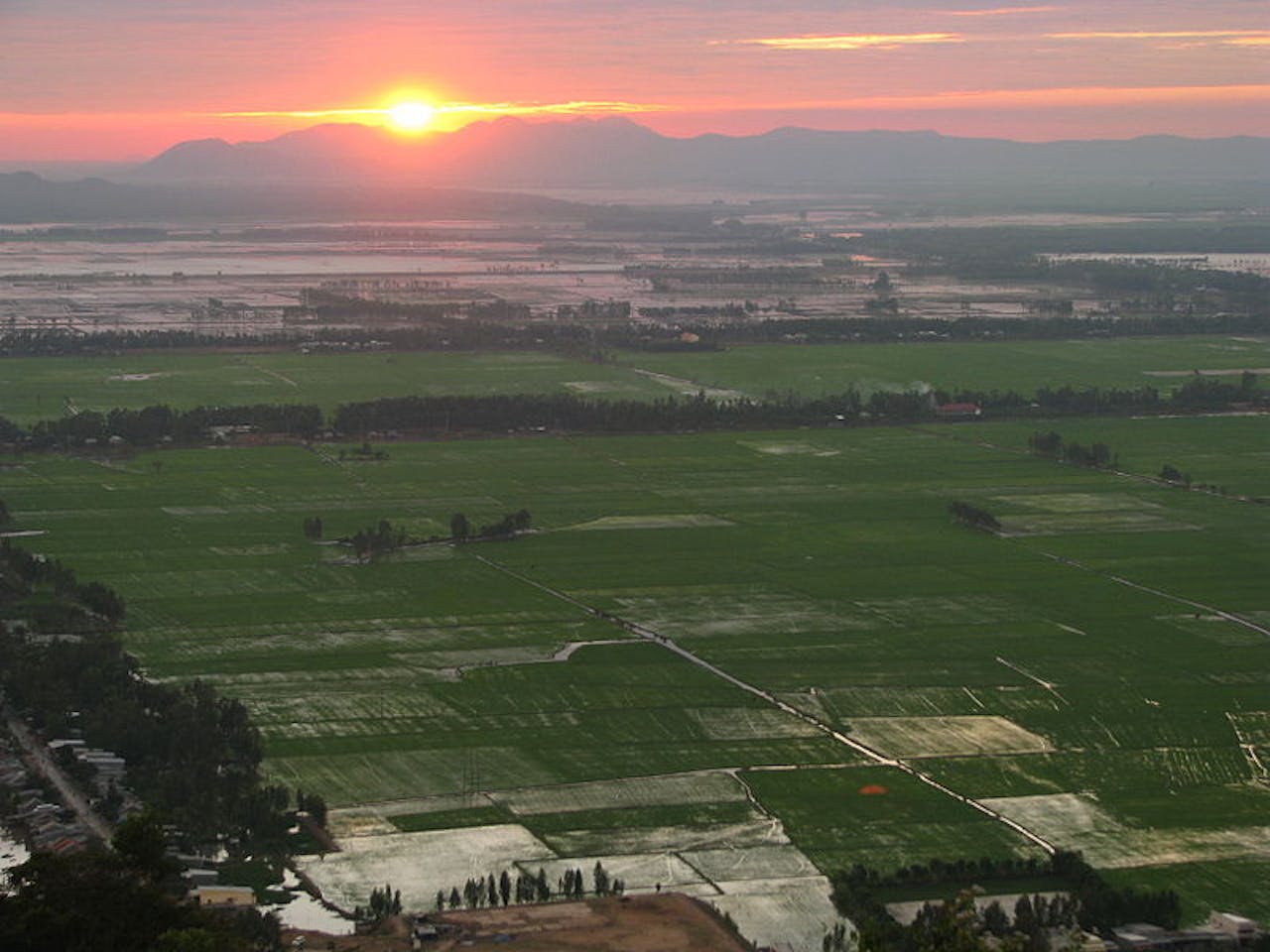 Rijstvelden in de Mekongdelta in Vietnam. Voor het rijp worden van de rijst is het belangrijk dat de velden onder water staan. Toch zijn ongecontroleerde overstromingen niet wenselijk.