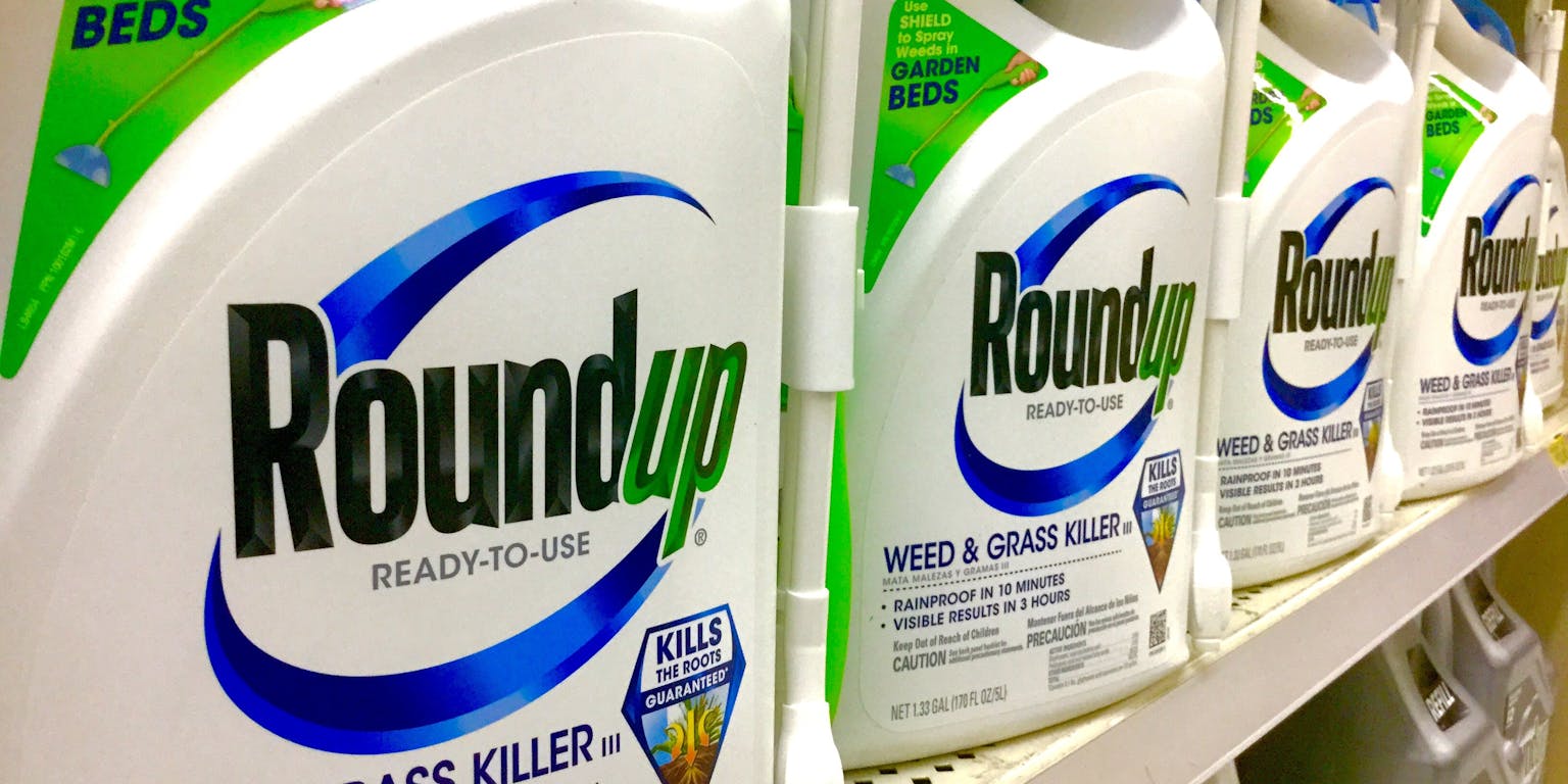 Een schap met Roundup onkruidbestrijdingsmiddel.