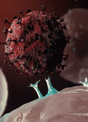 Illustratie van het coronavirus