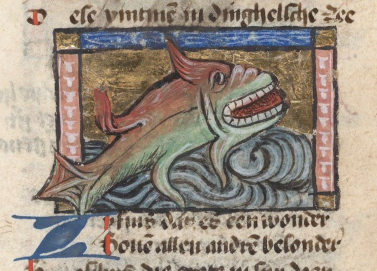 Middeleeuws beeld in Jacob van Maerlant van de Zyfius