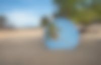 een tropisch strand met palmbomen met de weerspiegeling van een palmboom in een spiegel gevangen