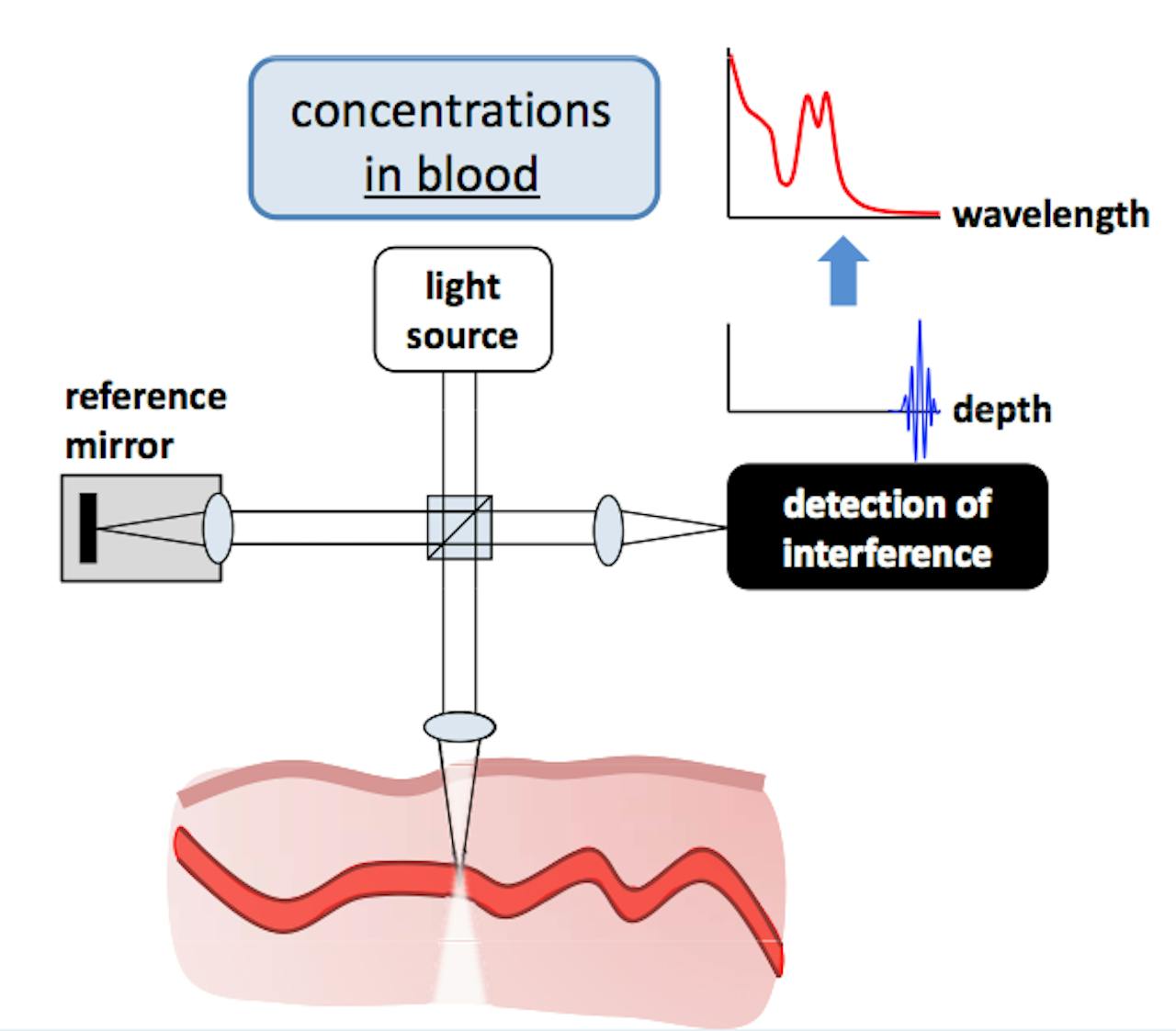 De werking van laag-coherente spectroscopie.