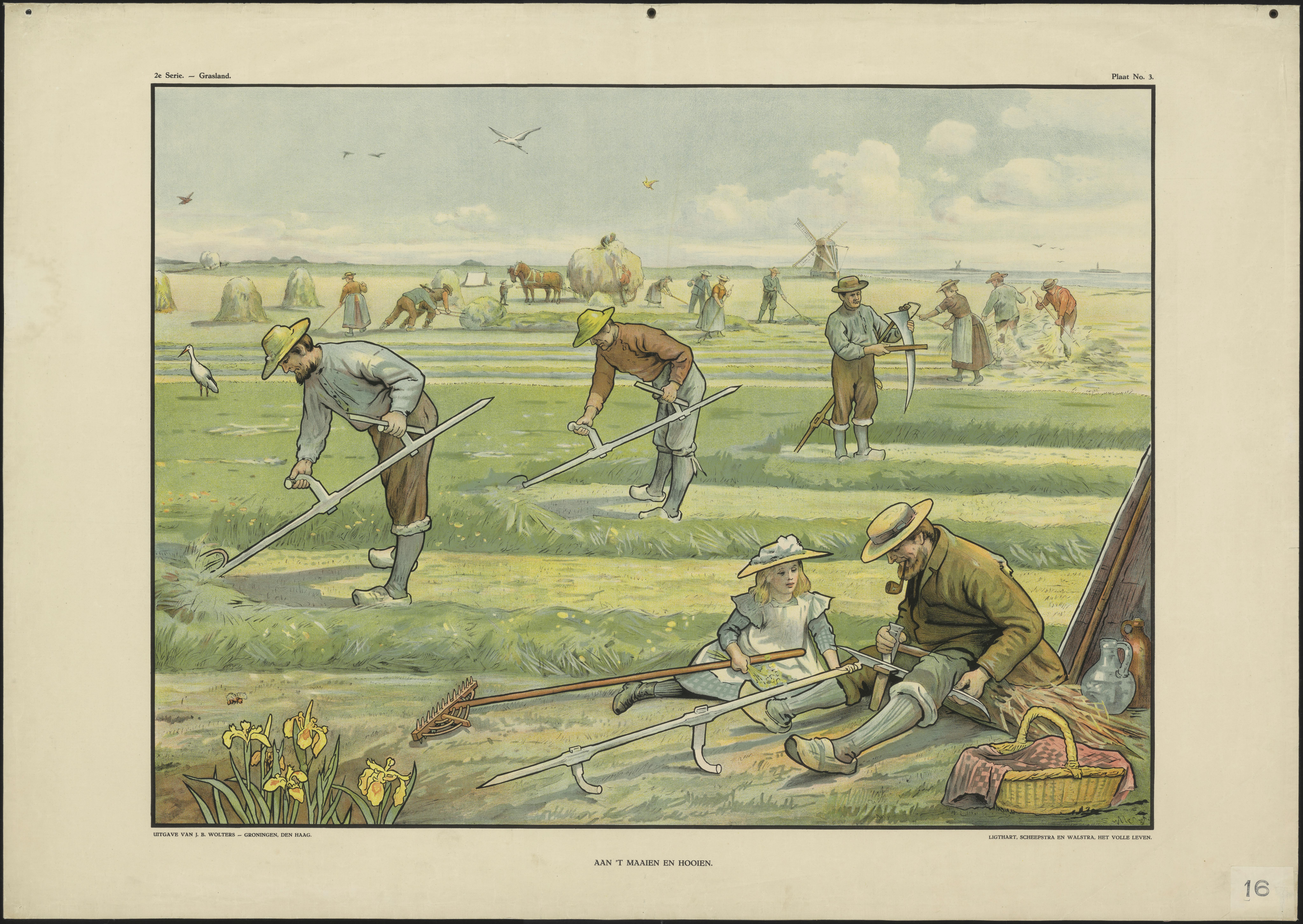 Schoolplaat hooien augustus