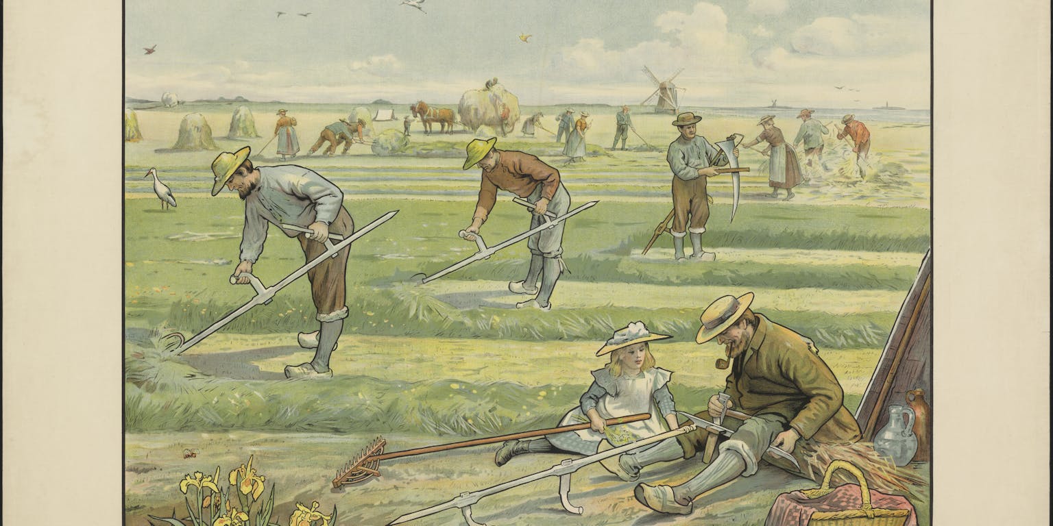 Schoolplaat hooien augustus