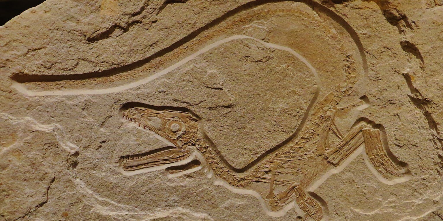 Een dinosaurus wordt in een rots uitgehouwen.