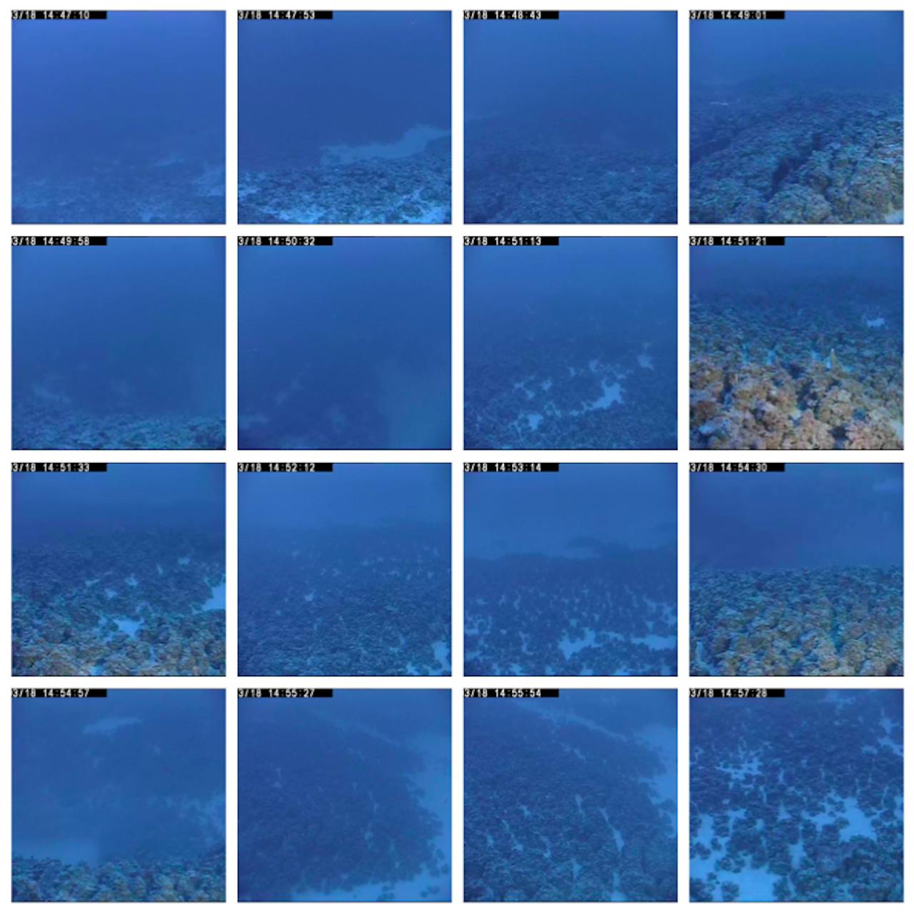 Langzaam opdoemende schaduwen in het schemerige licht van de zee.
