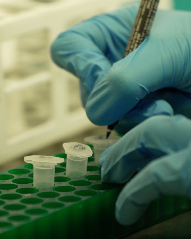 Reageerbuisjes in het lab Reageerbuisjes in het lab