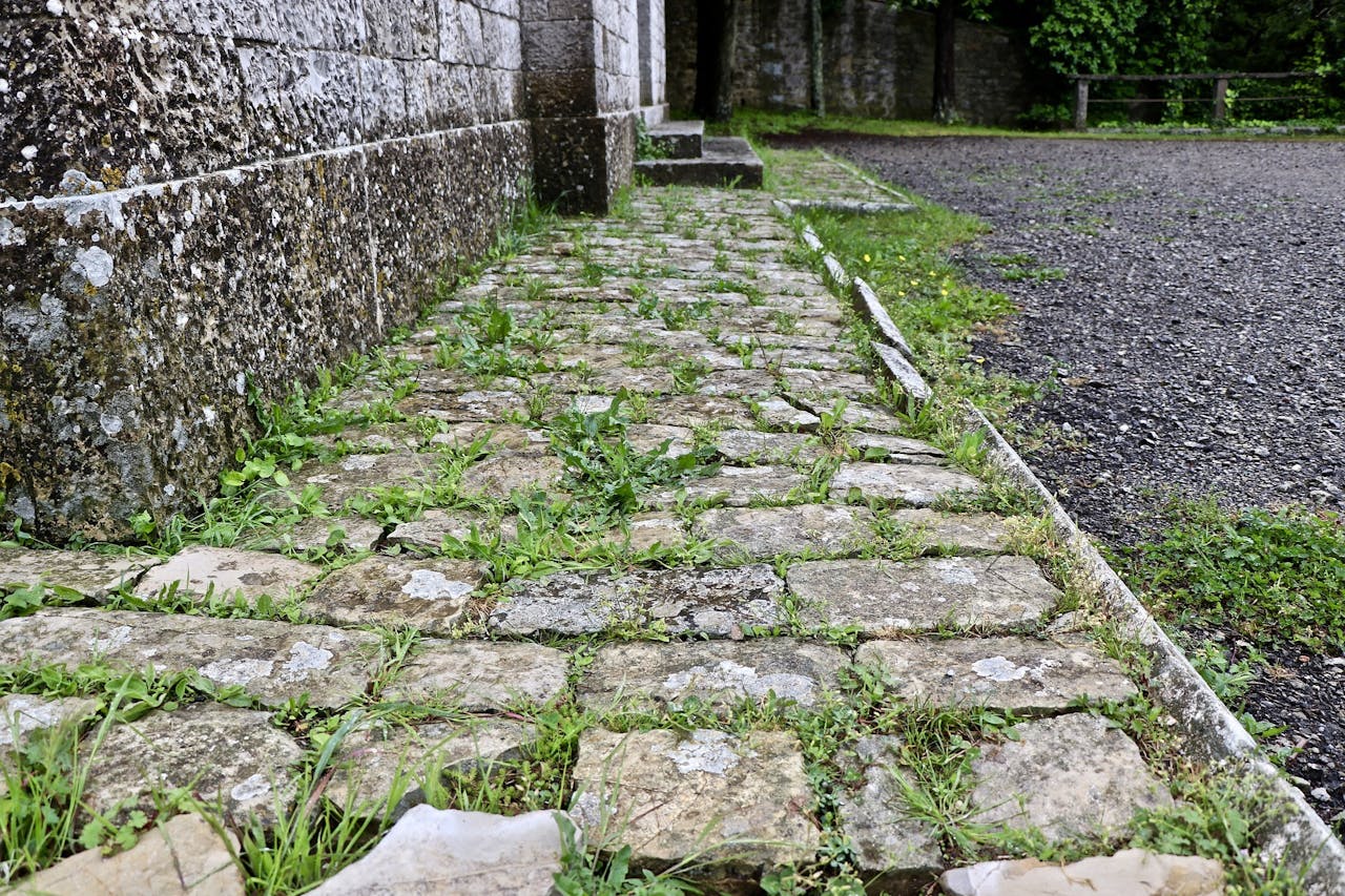 Een stenen pad met veel onkruid tussen de stenen.