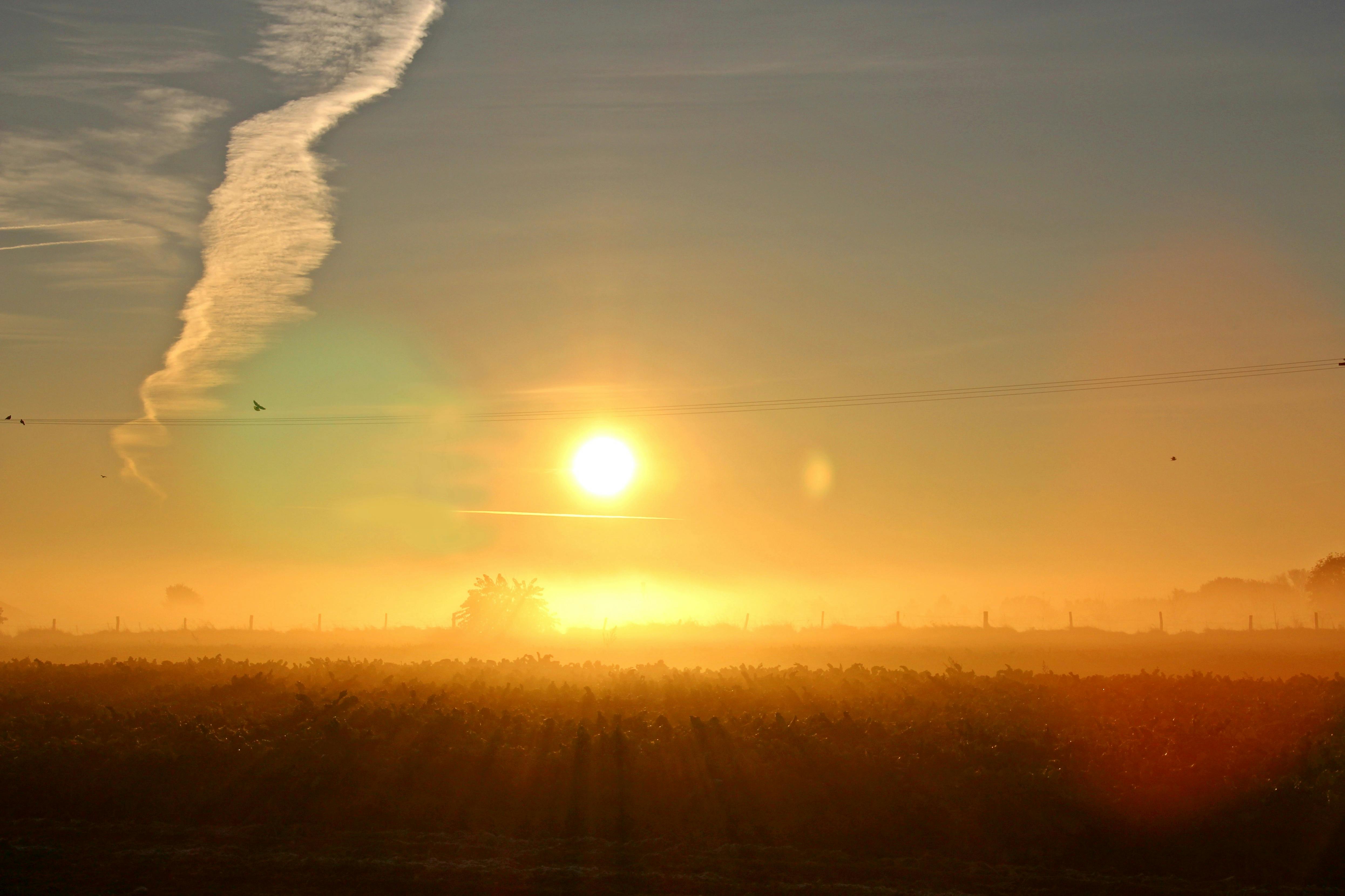 De zon komt op boven een veld met een wolk aan de hemel.