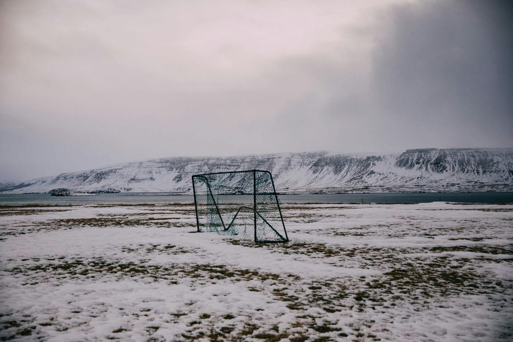 Een besneeuwd veld met een blauw hek op de achtergrond.