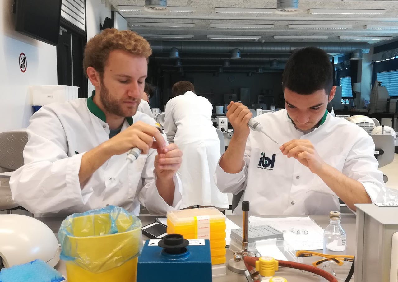 Tobi en Alejandro zijn momenteel druk bezig ons suckerine-eiwit te produceren