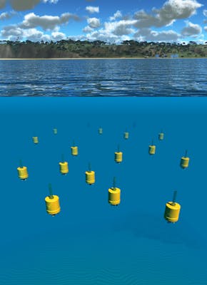 Planktonrobots zweven door het water.