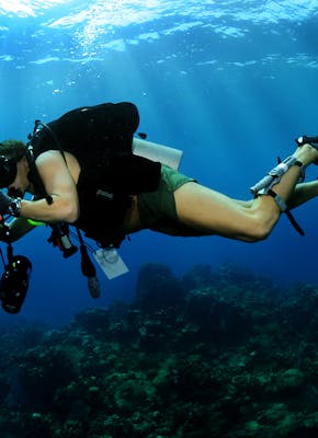 Een duiker met een camera onder water.