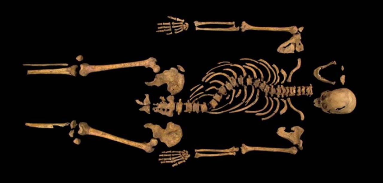 Dit is wat er van Koning Richard over is. Hij had last van ernstige scoliose waardoor zijn ruggenwervel zo krom is. De oplettende kijker valt natuurlijk op dat hij geen voeten heeft. Die zijn tot op de dag van vandaag niet gevonden. Waarschijnlijk hebben bouwvakker bij de bouw van nieuwe constructies Richard ‘ontvoet’. Het had dus niet veel gescheeld of zijn hele skelet was verloren gegaan.