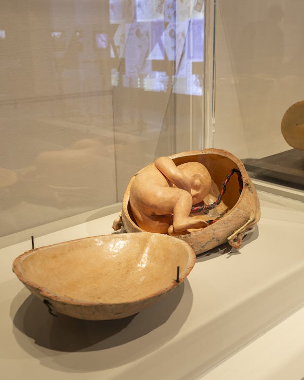 Tentoongstelling Vrouwen als technologie in het Design Museum in Den Bosch Tentoongstelling Vrouwen als technologie in het Design Museum in Den Bosch