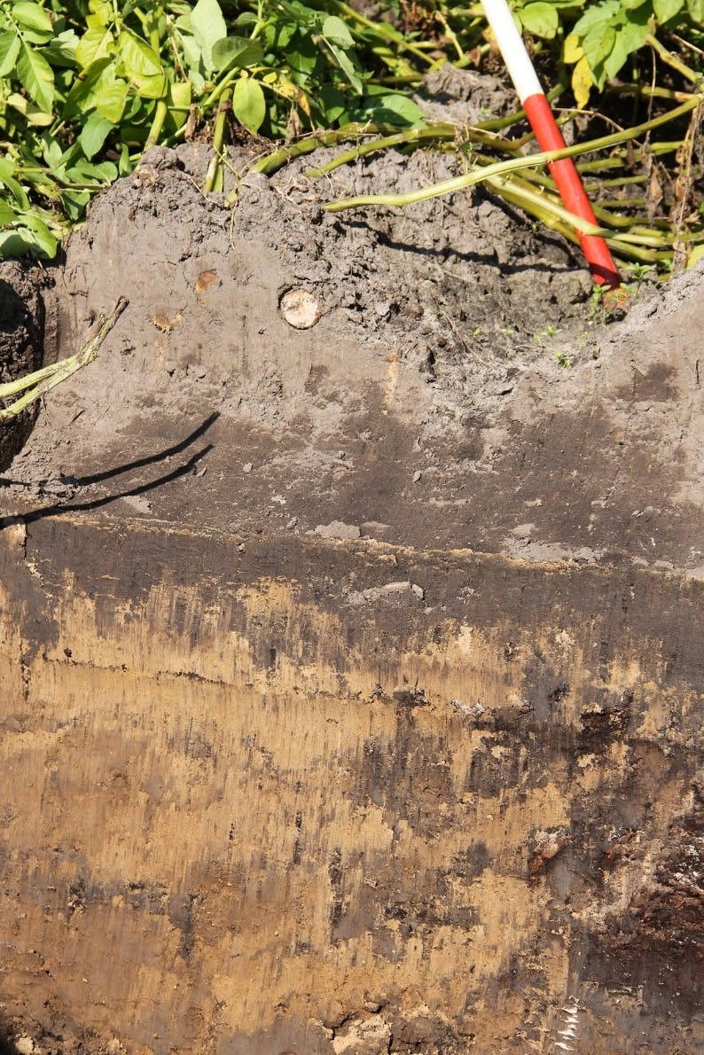 Zandgrond met daarboven wat groene beplanting en een rood-witte stok.