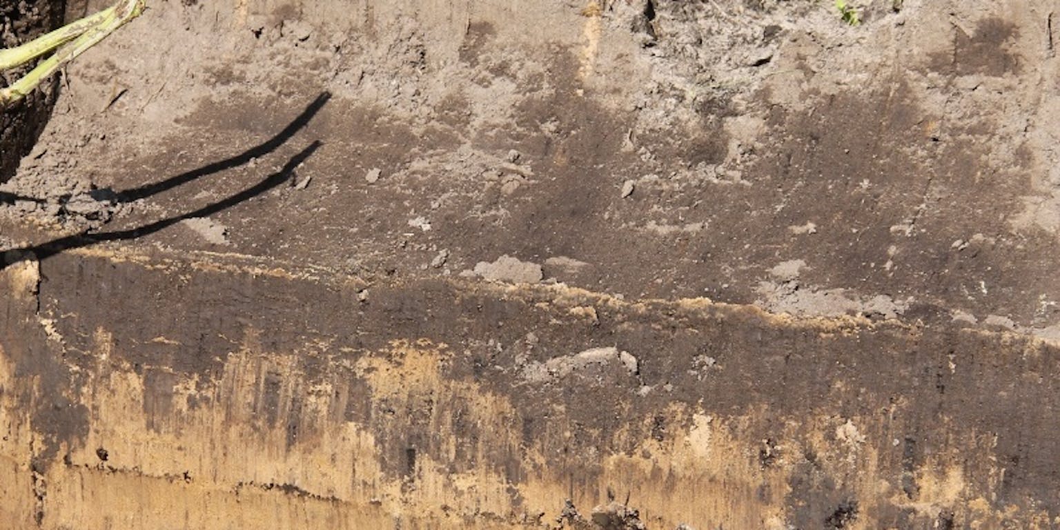 Zandgrond met daarboven wat groene beplanting en een rood-witte stok.