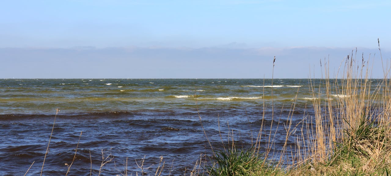 Uitzicht op water met hier en daar een witte schuimkop. Rechts is wat riet van de oever te zien. De lucht is blauw.