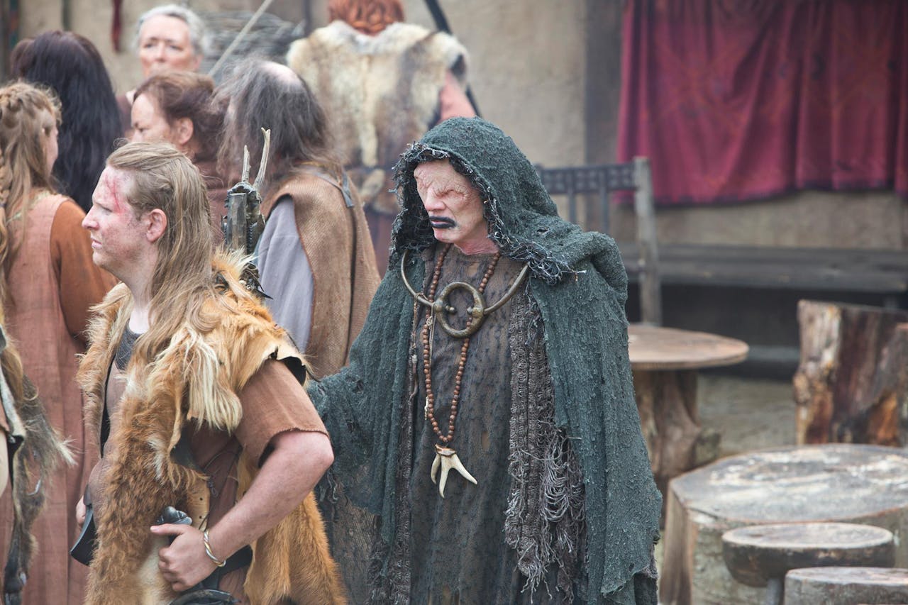 Een groep mensen gekleed in vikingkostuums.