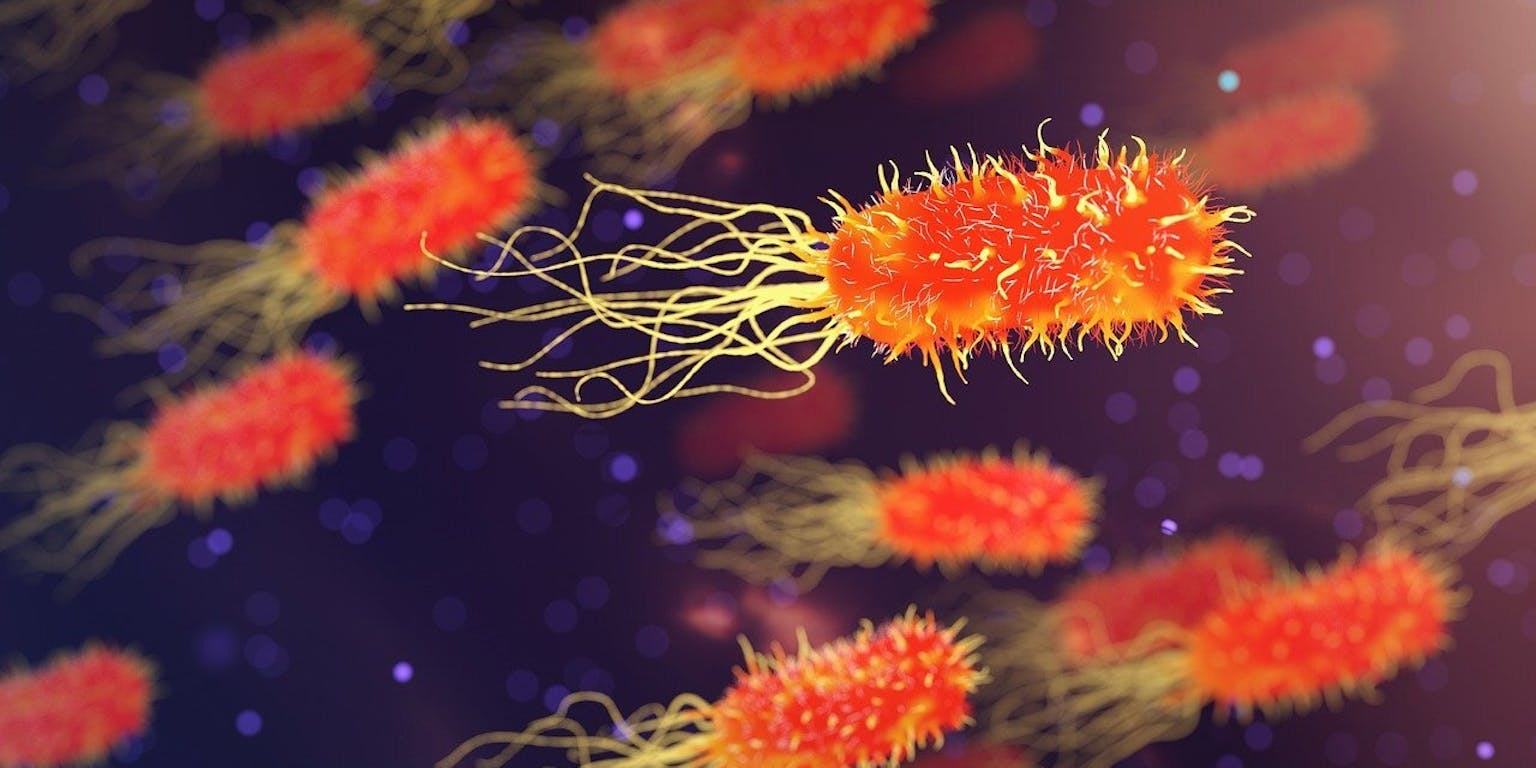 Een groep bacteriën op een donkere achtergrond.