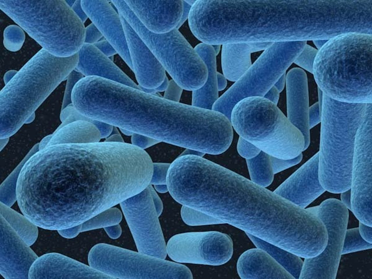 Een groep blauwe bacteriën op een zwarte achtergrond.