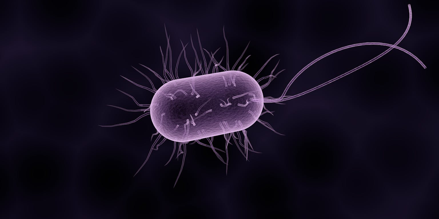 Een close-up van een bacterie.