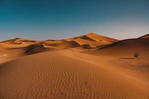 Aan een droog en heet landschap als een woestijn heeft de mens niets. Een heuvelachtige woestijn met uiterst rechts een klein boompje. Blauwe lucht.
