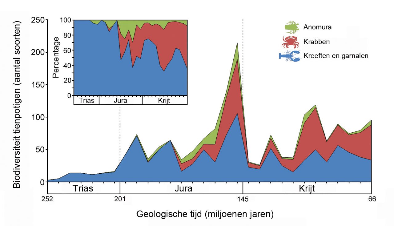 Veranderingen in soortenrijkdom van de decapoden door de tijd heen