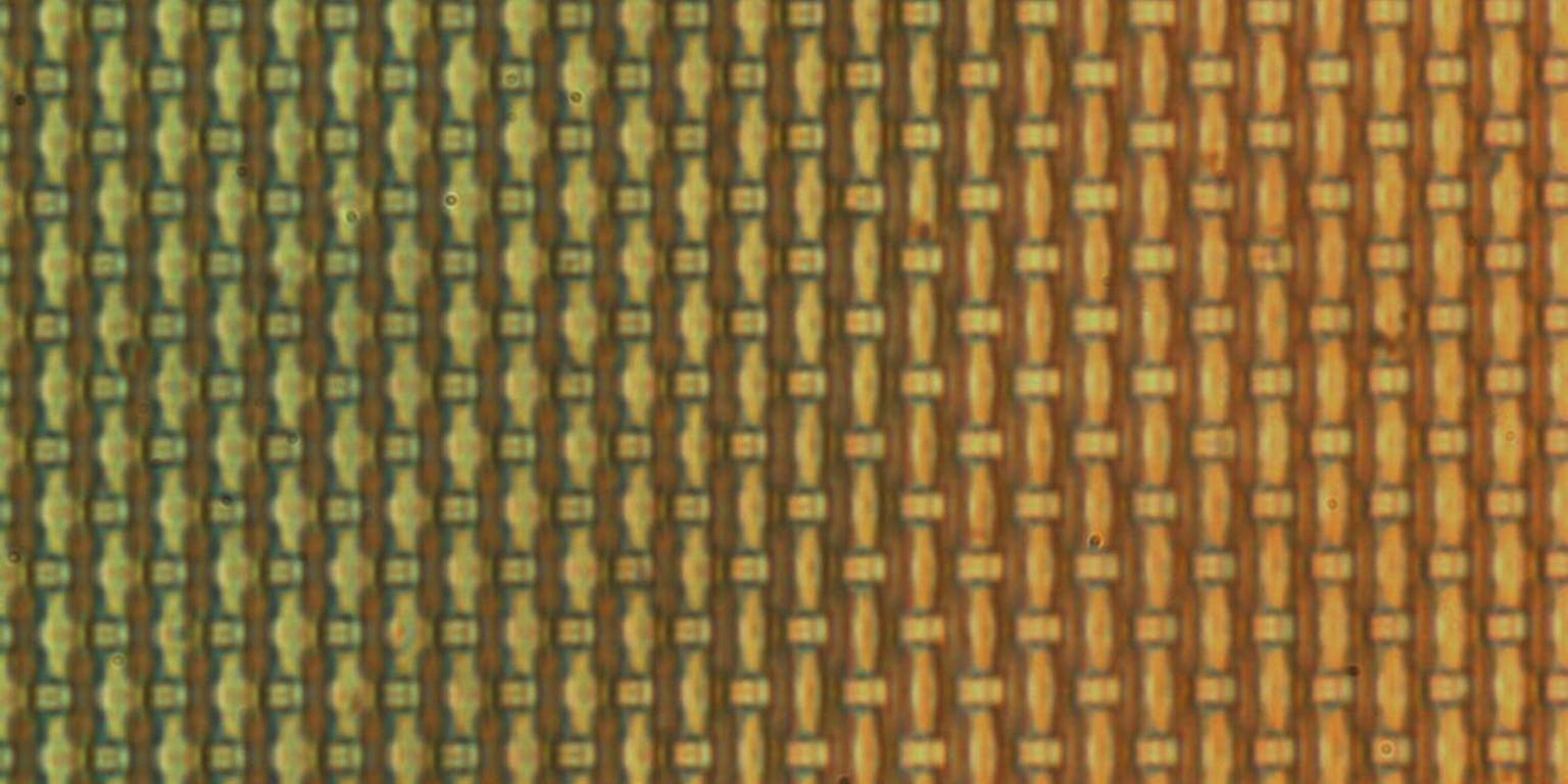 Close-up van een gel die Peter Korevaar in zijn onderzoek gebruikte.