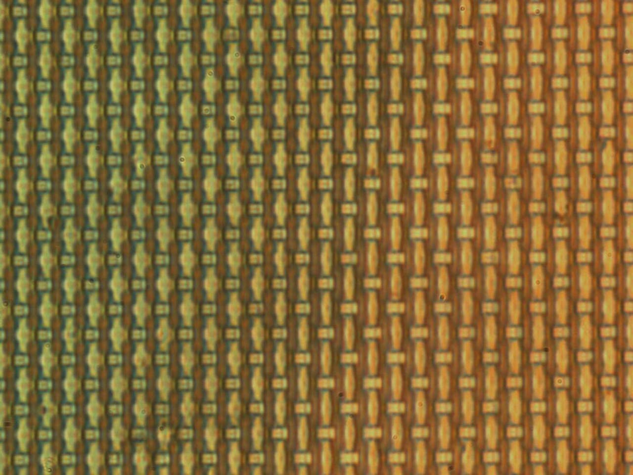 Close-up van een gel die Peter Korevaar in zijn onderzoek gebruikte.