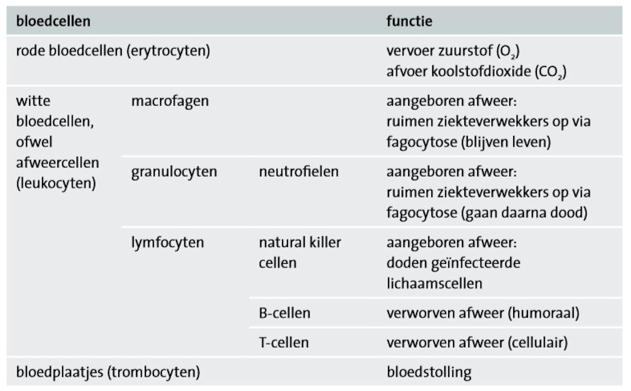 Een tabel met de functie van rode bloedcellen, witte bloedcellen en bloedplaatjes.