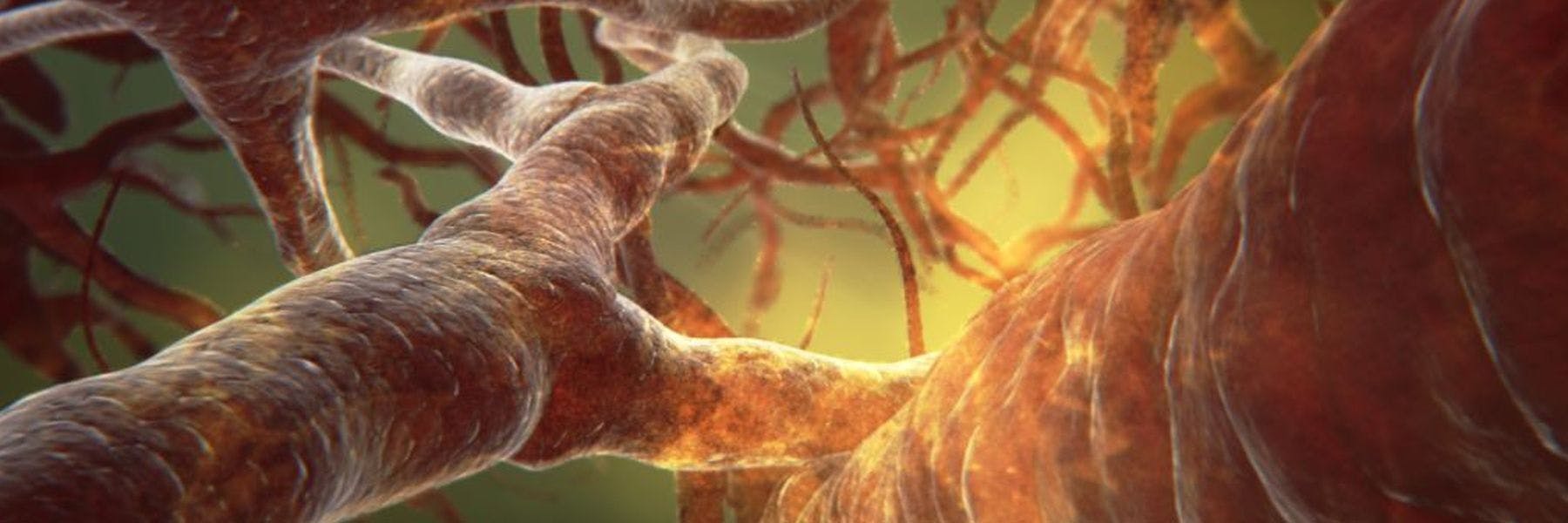 Een close-up afbeelding van bloedvaten.