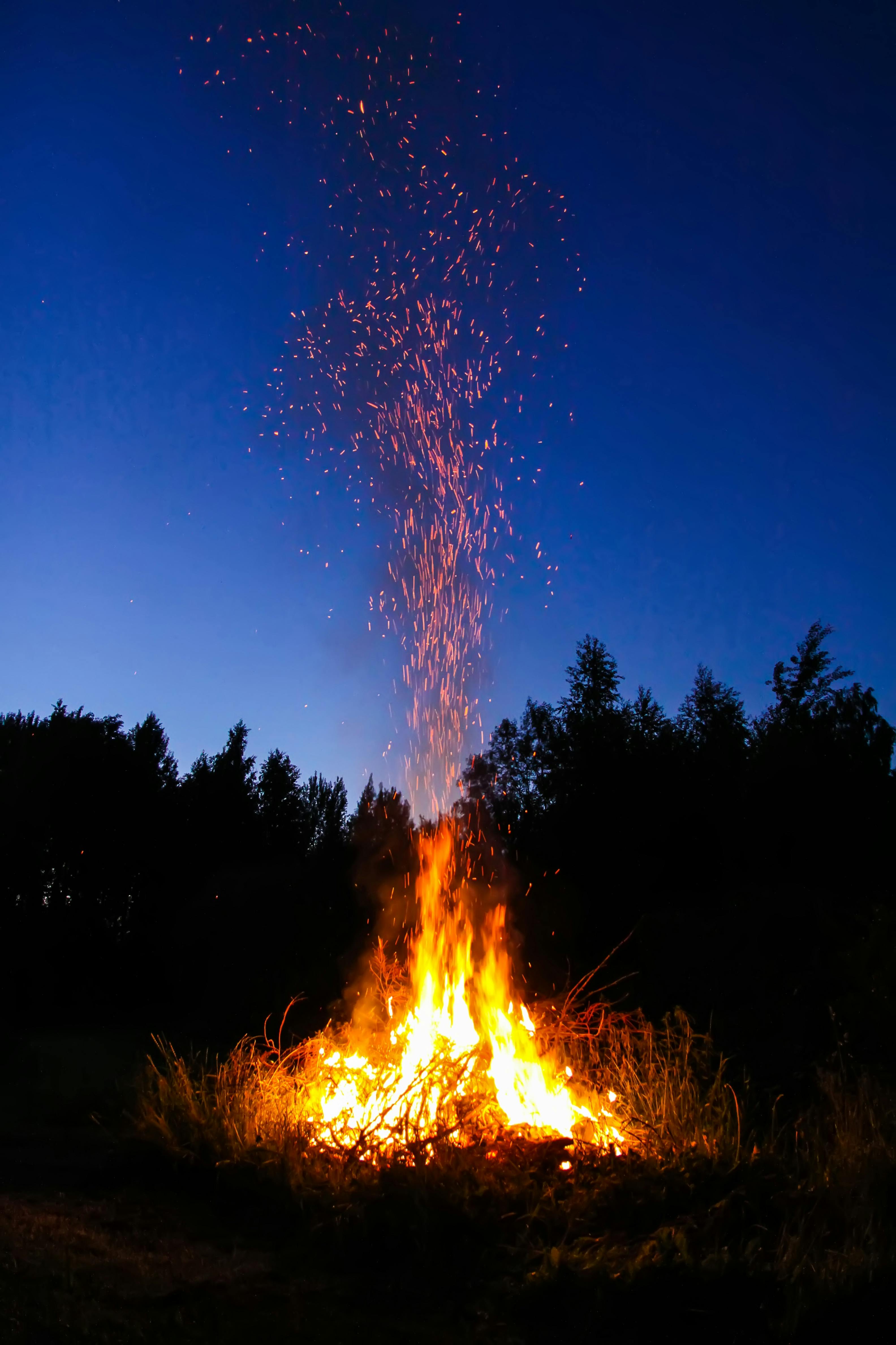 brandstapel in nachtelijk bos