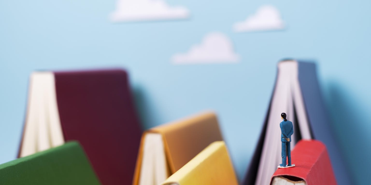 berglandschap van gekleurde boeken met op de top een mannelijk poppetje