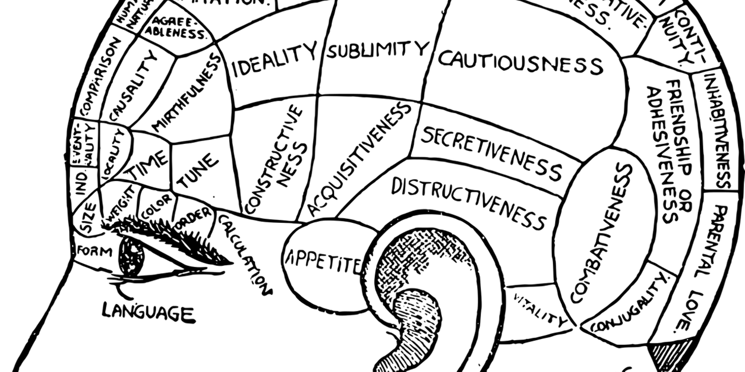 Een tekening van een hoofd waarin de hersengebieden ingetekend zijn.