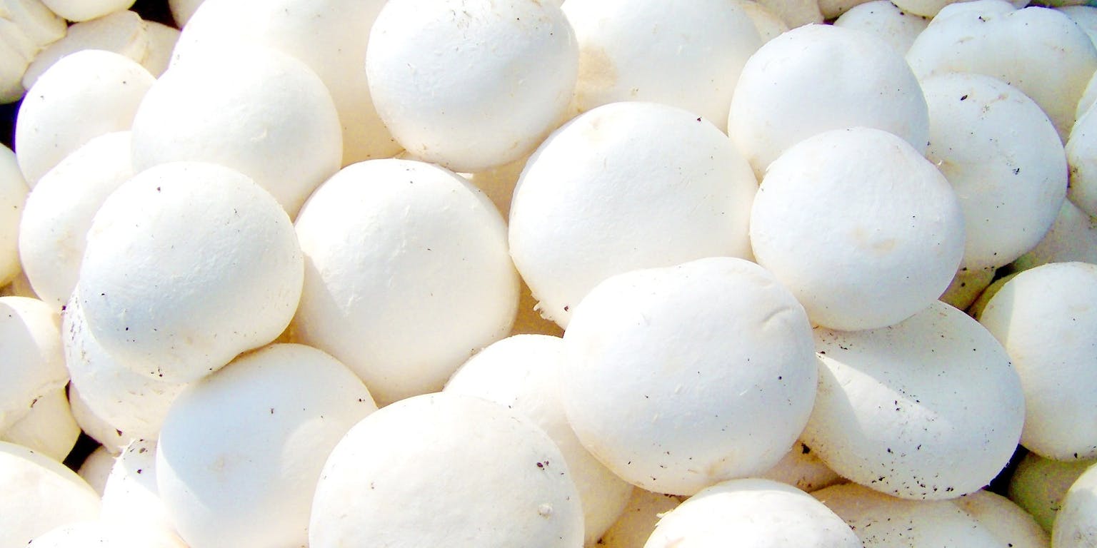 Veel witte champignons liggen op elkaar opgestapeld.