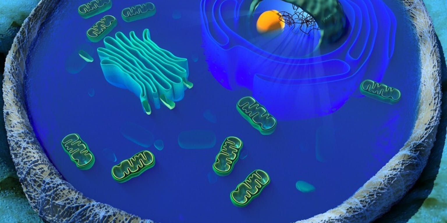 Een afbeelding van een cel in 3D op een blauwe achtergrond.