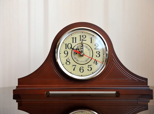 Bruine mantelklok.