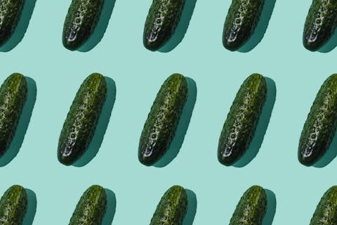 Gefermenteerde groenten zoals augurken hebben hun unieke smaak volledig te danken aan bacteriën! augurken op blauwe achtergrond