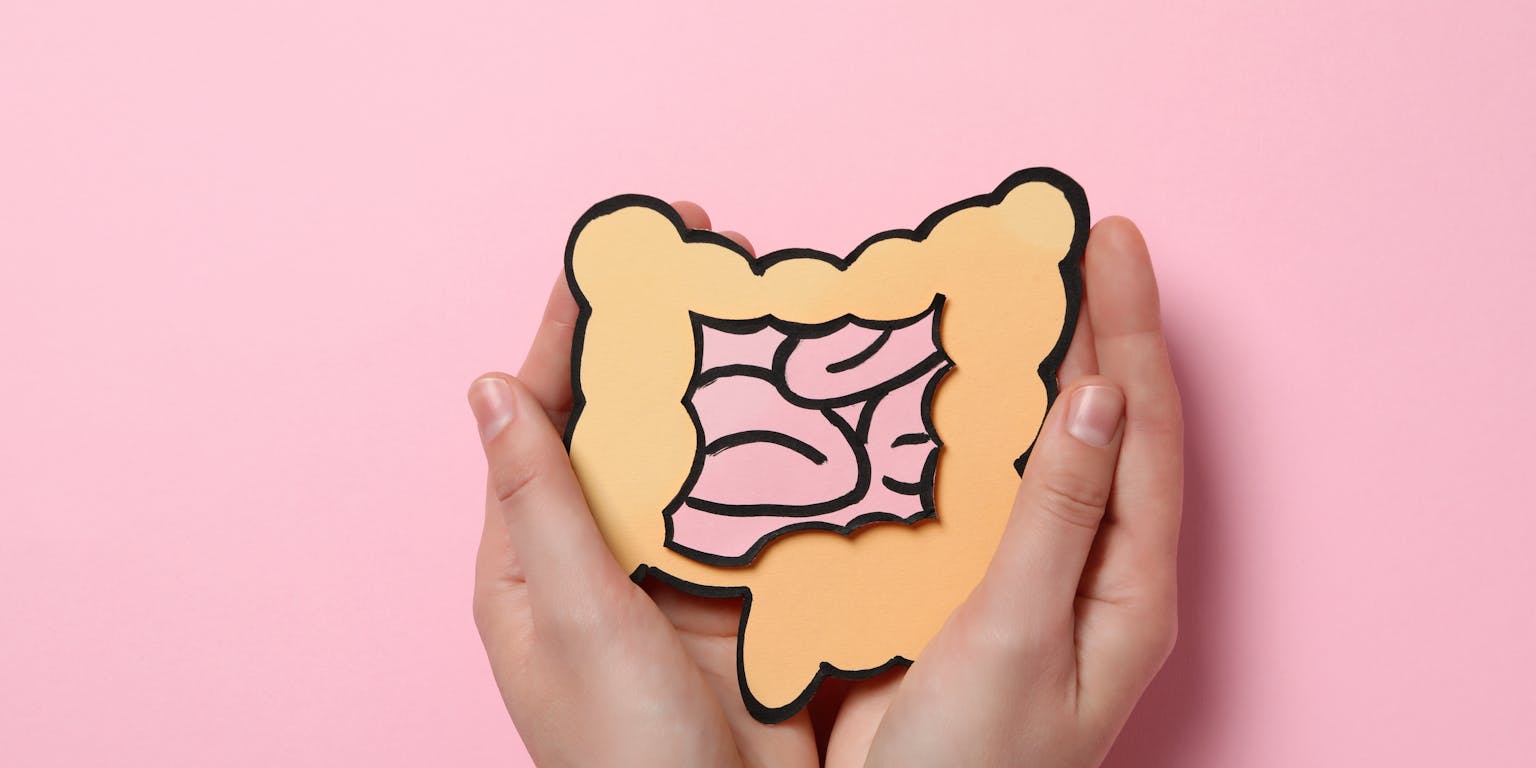 handen die getekende darmen vasthouden, met veel kleur