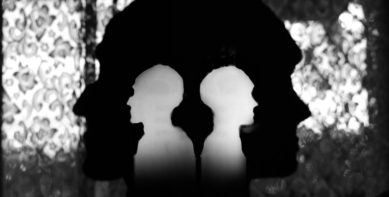 Een creatief beeld van een scheiding: een close-up van 2 hoofden die allebei een andere kant op kijken.