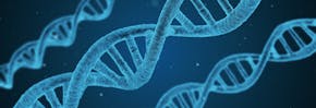 Een close-up van een DNA-streng op een blauwe achtergrond.