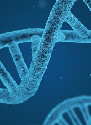 Een close-up van een DNA-streng op een blauwe achtergrond.
